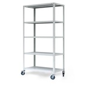 Стеллаж  на колесах 20.100.60/5 ТС Лайт